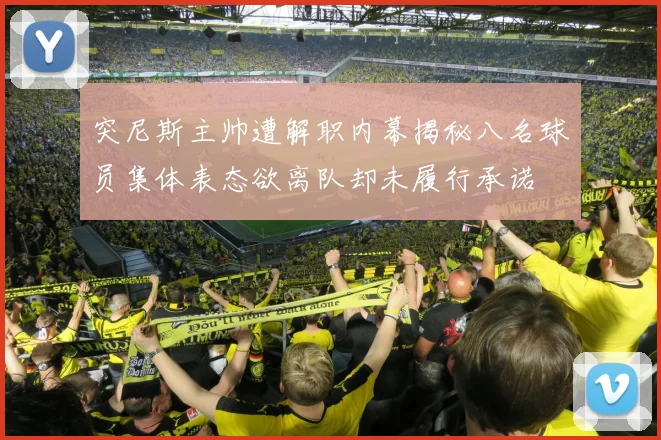 突尼斯主帅遭解职内幕揭秘八名球员集体表态欲离队却未履行承诺