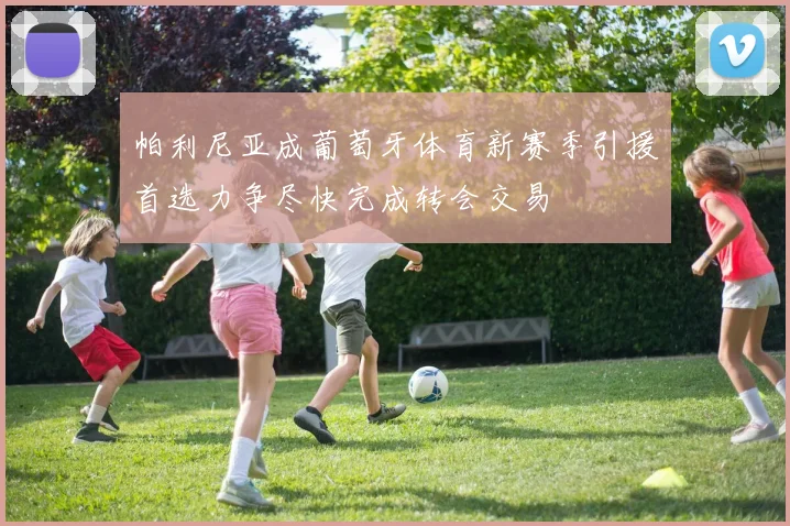 帕利尼亚成葡萄牙体育新赛季引援首选力争尽快完成转会交易