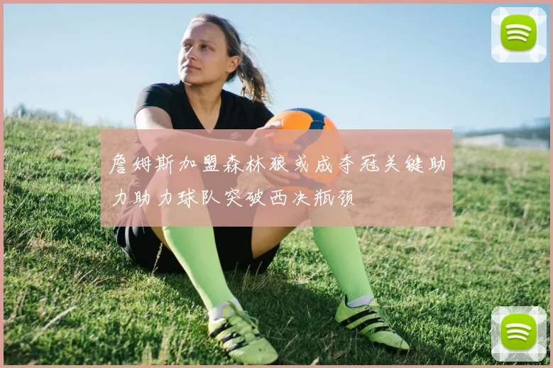詹姆斯加盟森林狼或成夺冠关键助力助力球队突破西决瓶颈